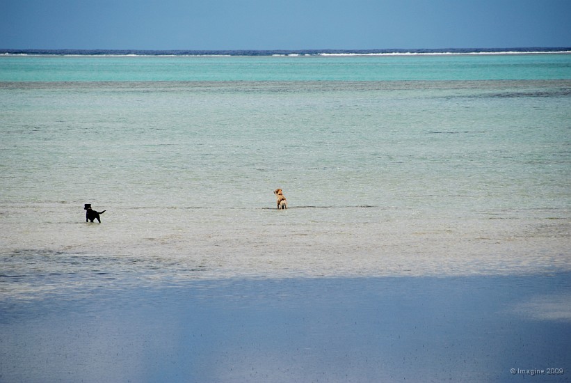 76- La plage de Poe.JPG